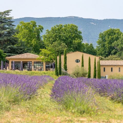 Château Malijay