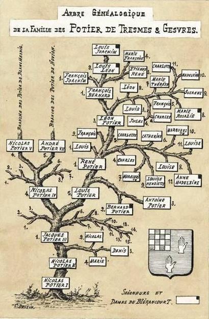 Arbre des Générations
