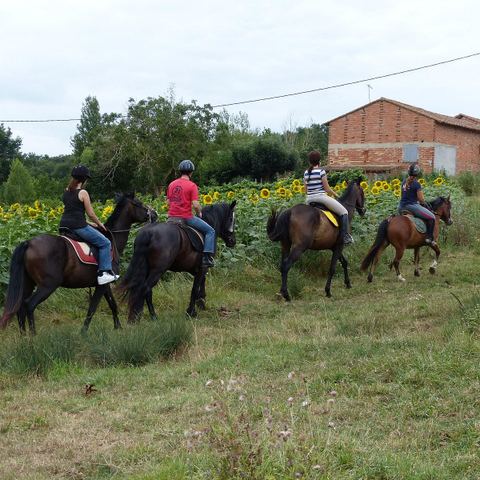 Centre équestre les "Chevaux du lac"