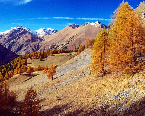 Prospettive Perspectives - Parcours artistiques dans la vallée de la Roya  : "Roya, Eur(h)ope, sur le chemin de la citoyenneté planétaire" par Stalker
