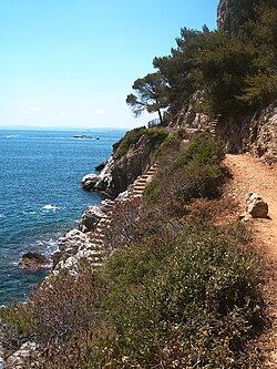 Cap'tain Ferrat