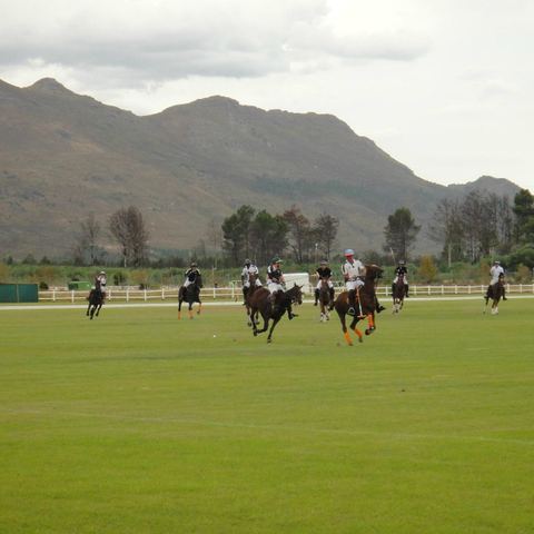 La Pampa Polo Club