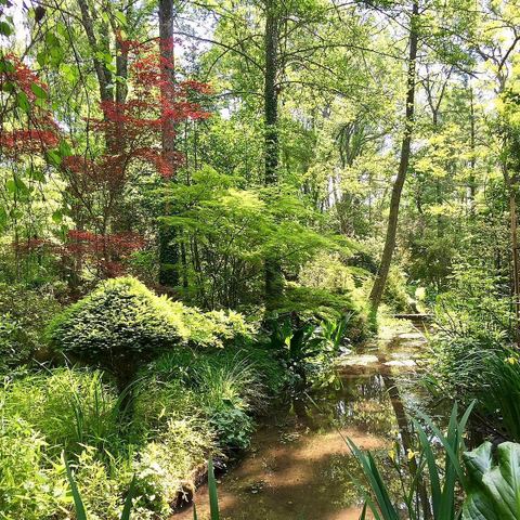 ARBORETUM MUNICIPAL DE LUNEL