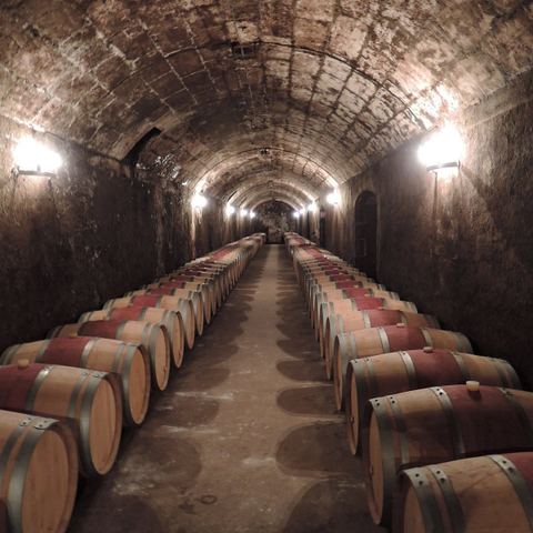 Domaine Les Toulons - vestiges d'une cave viticole romaine
