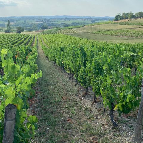 Clos Verquière