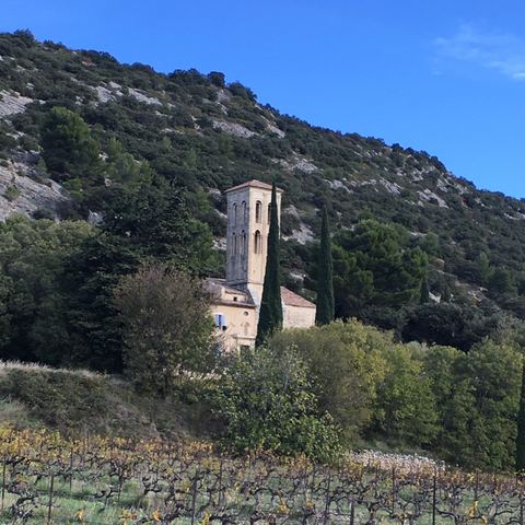 Domaine de l'Arnesque