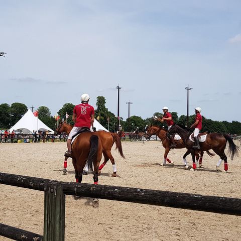 Haras du Latay