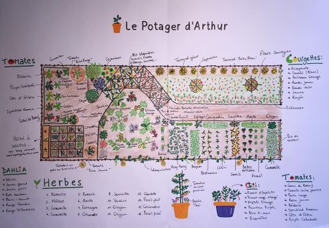 Le potager de Léandre