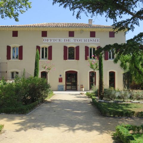 Domaine Oléicole de Belugue / Dominique ROCHER