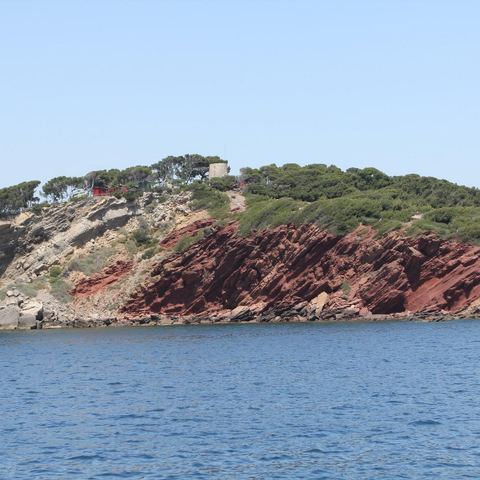 Croix du Sud V - Accueil à quai