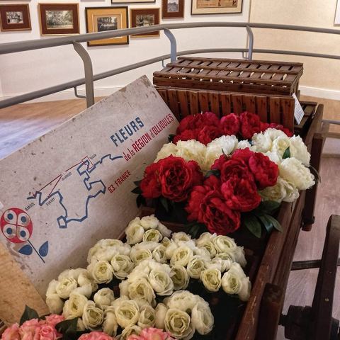 Musée de la fleur d'Ollioules