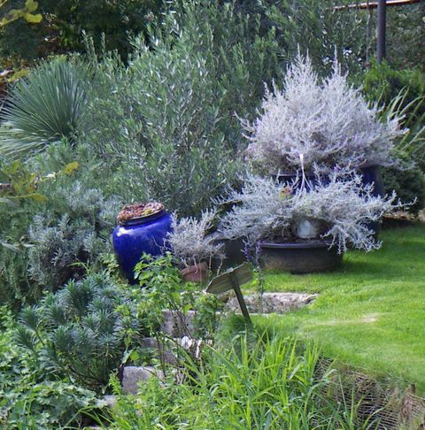 Le Jardin Cardabelle