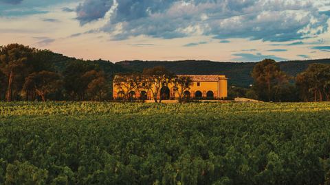 Château Saint-Maur Cru Classé