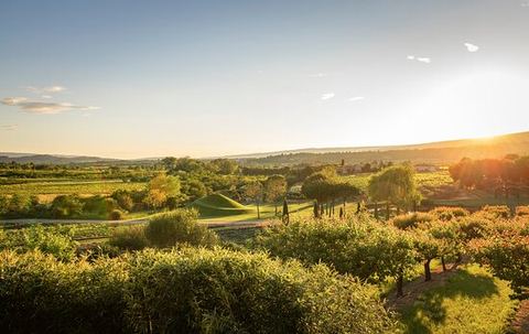 Domaine des Vallats