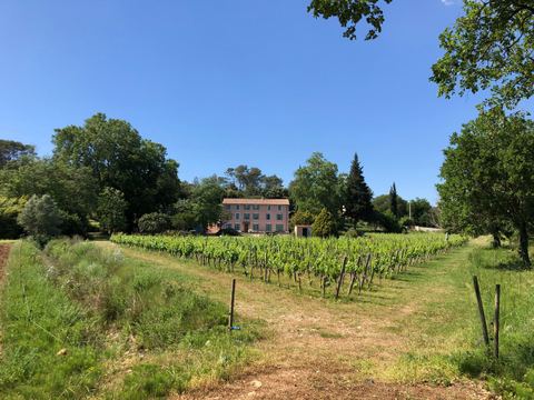 Domaine Oléicole Diouloufet