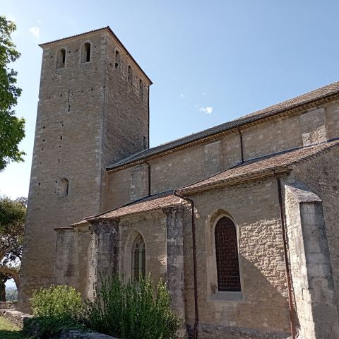 Collégiale Saint-Martin