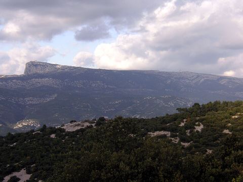Abeilles et miel de la Sainte Baume