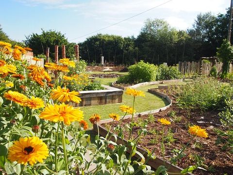 Le Jardin Rocambole