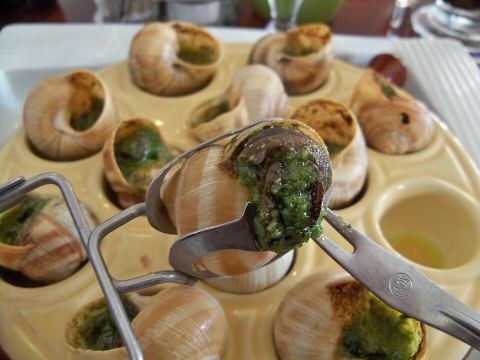 Escargots  la dominette