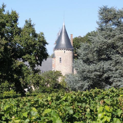 Château Trémouriès