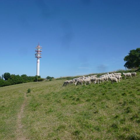 Espace naturel sensible Le Colombier