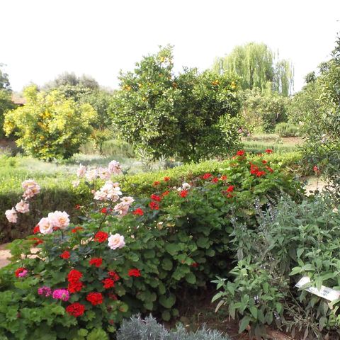 Jardin Pagès