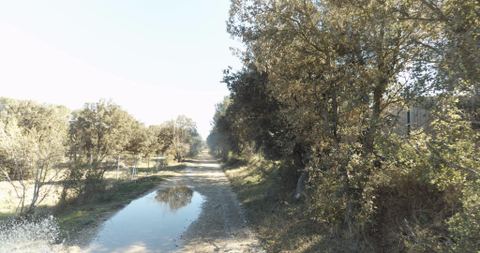 Borne milliaire