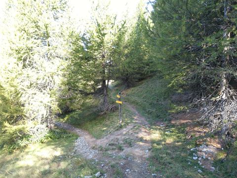 Lac Saint-Pierre