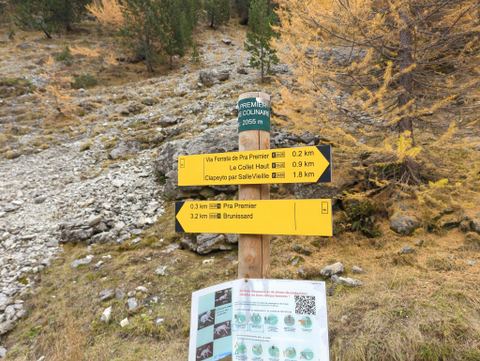 Via Ferrata de Pra Premier