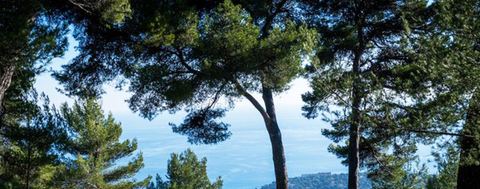 Parc du Cros de Casté