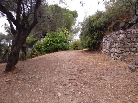 Parc Blanche de Castille