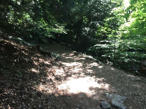 Réserve biologique dirigée de Sainte-Baume