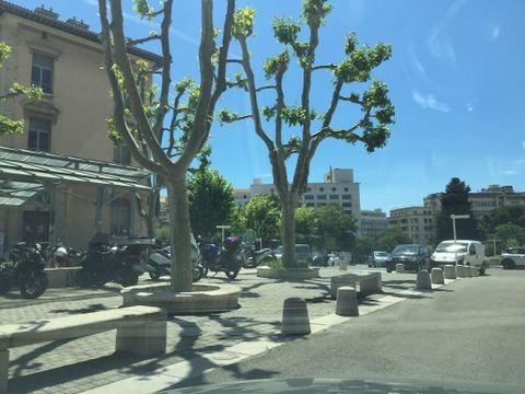 Jardin De saint Martine Monaco
