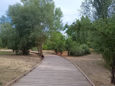 Parc de Drouille