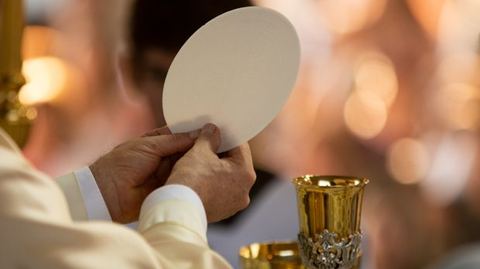 Paroisse Sainte Thérèse de l'Enfant Jésus