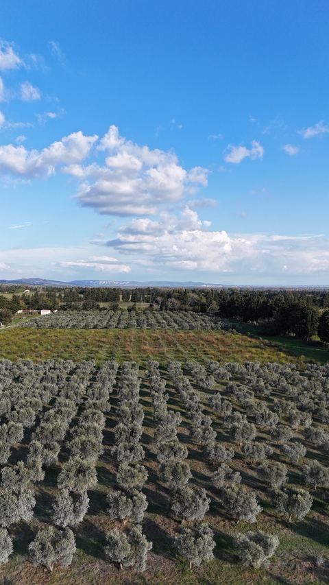 Amouriès - Domaine Delabarre