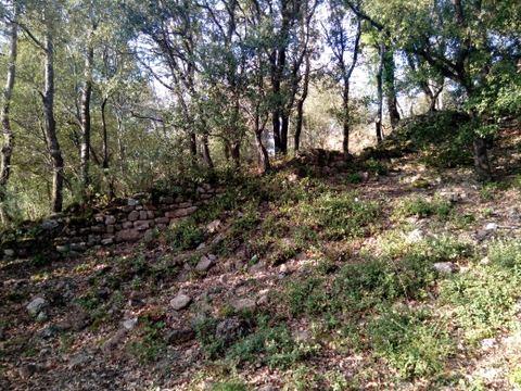 Randonnée "Le Castrum Saint-Michel"