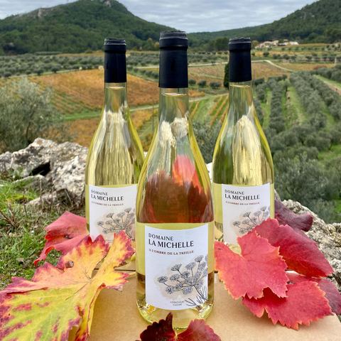 Domaine la Michelle - Nelly & Jean-François Margier