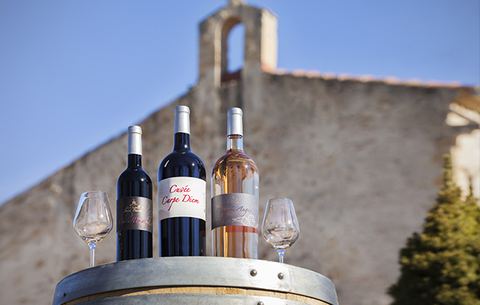 Domaine de Saint Bacchi