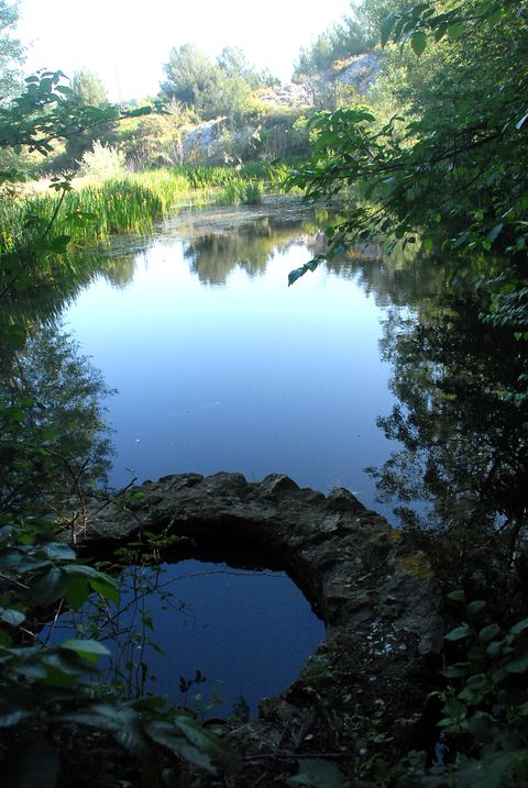Sentier Botanique la Roselière