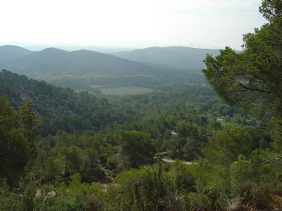 Roques hautes - circuit VTT 3