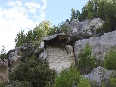 Forêt domaniale de Castillon