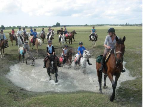 Association du Poney Club