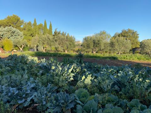 Le Jardin de Pichauris