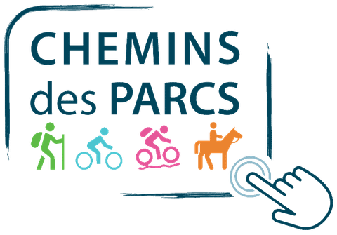Port-Saint-Louis à vélo, la ville entourée d'eau