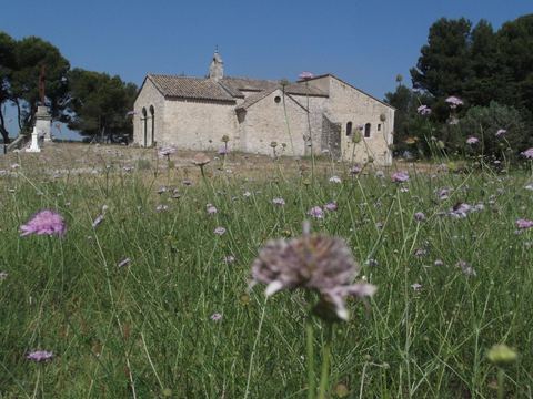 Noves de croix en croix, entre histoire et paysages