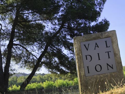 Domaine de Valdition