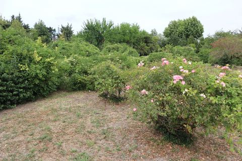 Jardin des 4 saisons