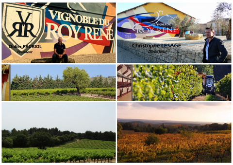 Sentier vigneron du Vignoble du Roy René