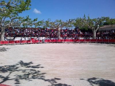 Arènes Francis Chaine - Paluds de Noves
